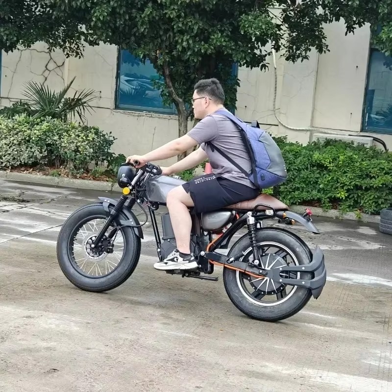Motocicleta Eléctrica Estilo V - Brake Disc Motorcycle reseña y precio