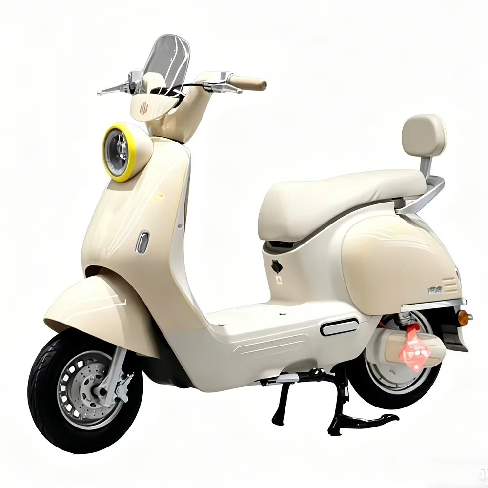 Motocicleta eléctrica para adu - Brake Disc Motorcycle reseña y precio